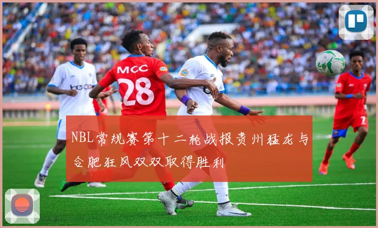 NBL常规赛第十二轮战报贵州猛龙与合肥狂风双双取得胜利